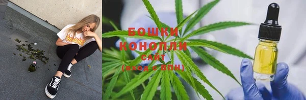 PSILOCYBIN Тында