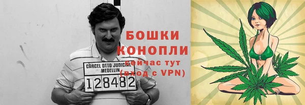 сатива Нея